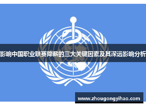 影响中国职业联赛降薪的三大关键因素及其深远影响分析